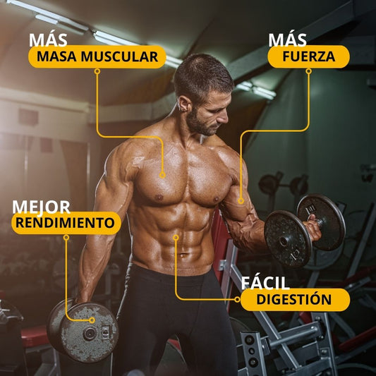 Proteína en polvo sabor Vainilla + Porta celular de regalo