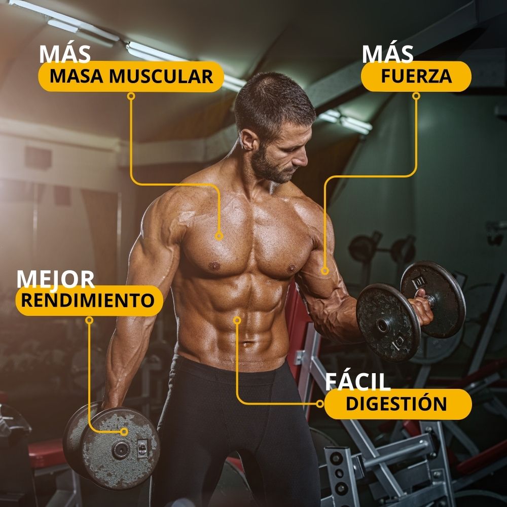 Proteína de huevo sabor Vainilla + Porta celular de regalo